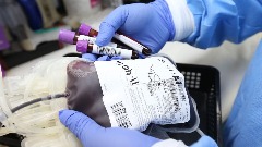 U prošloj godini prikupljene rekordne zalihe krvi