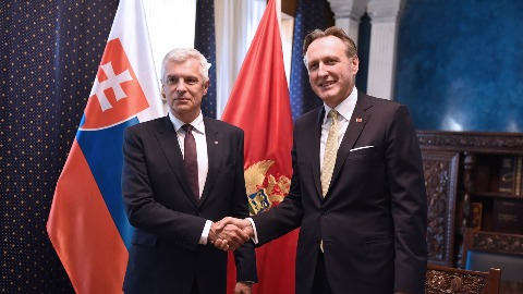 krivokapic-korcok1.jpg