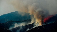 Šumski požari pustoše Kataloniju, toplotni talas pogodio Englesku